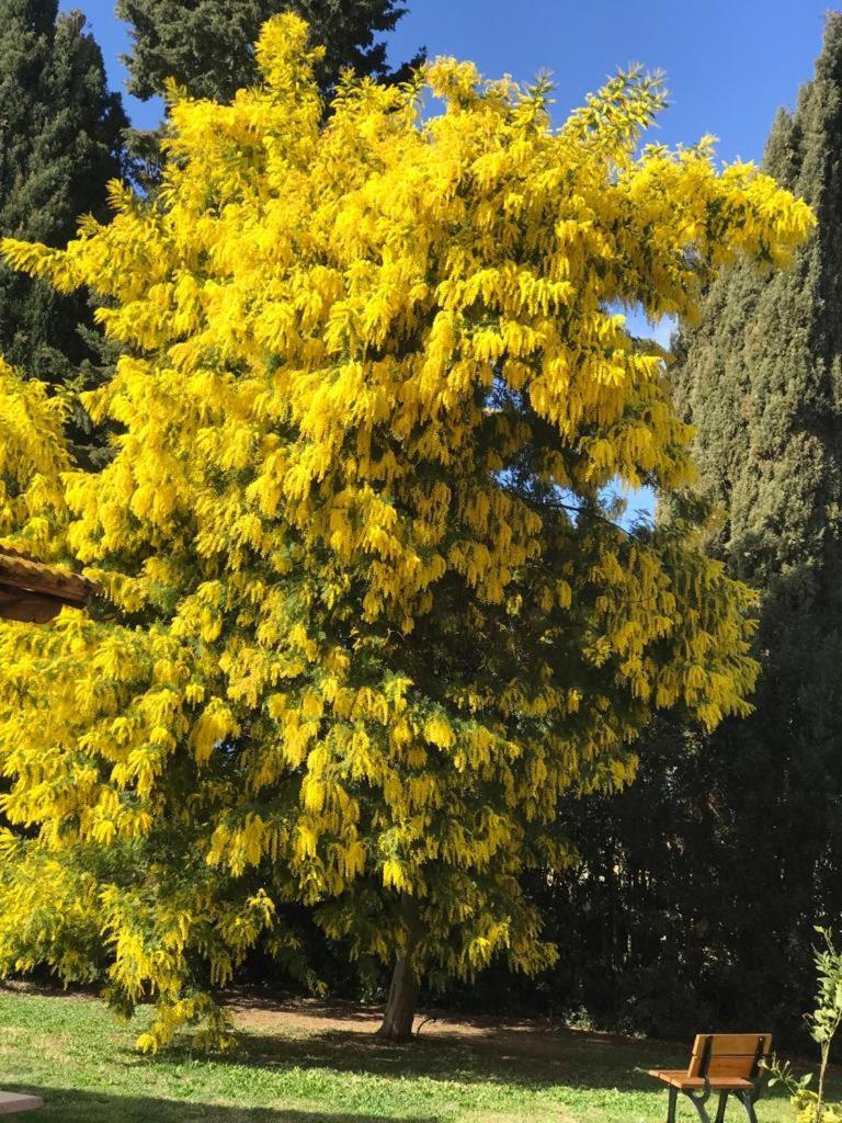 Agriturismo Podere Giulio Таркиния Екстериор снимка