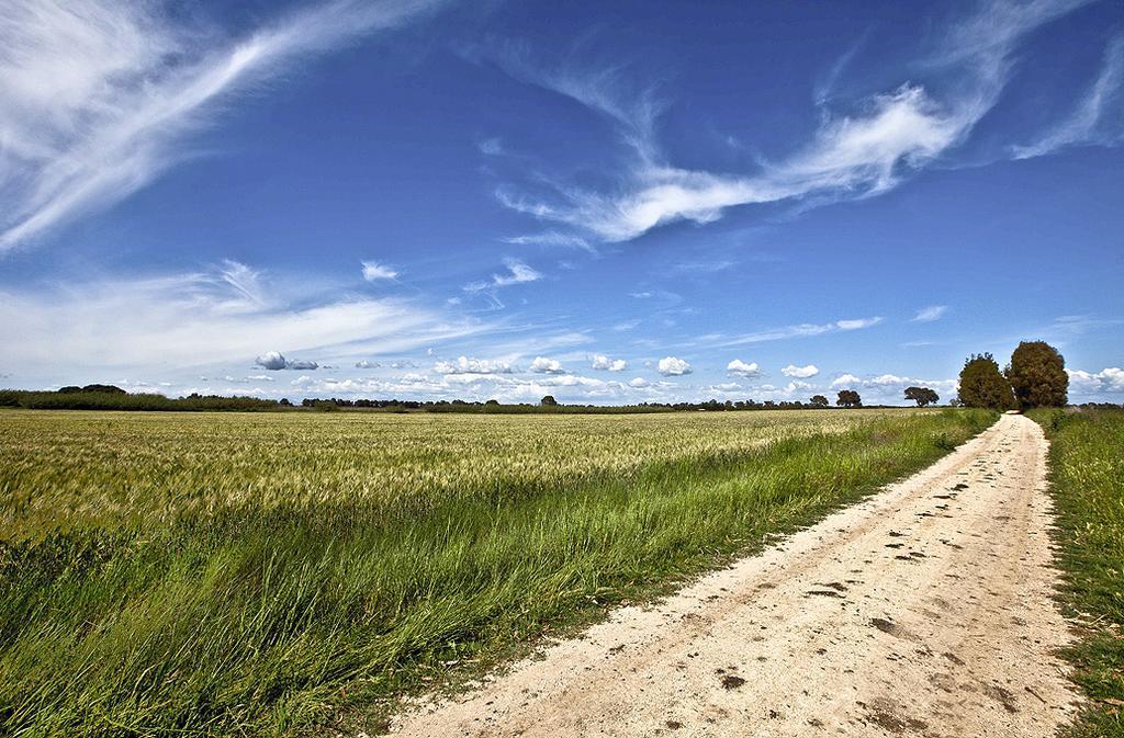 Agriturismo Podere Giulio Таркиния Екстериор снимка