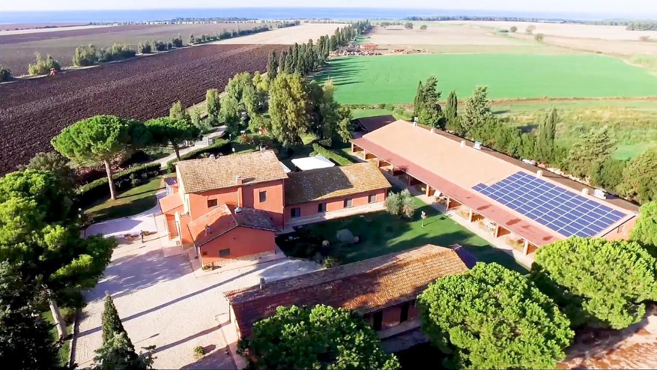 Agriturismo Podere Giulio Таркиния Екстериор снимка